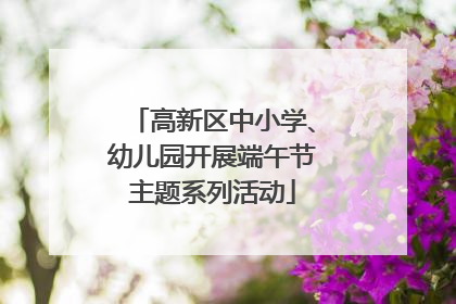 高新区中小学、幼儿园开展端午节主题系列活动