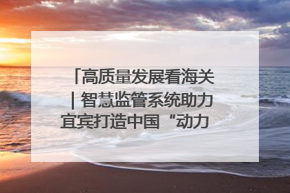 高质量发展看海关｜智慧监管系统助力宜宾打造中国“动力电池之都”