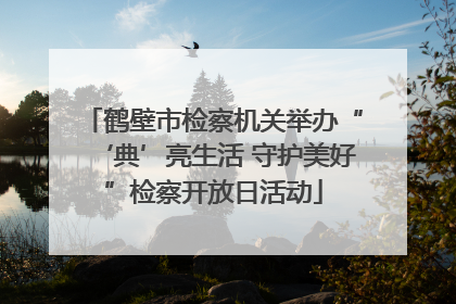 鹤壁市检察机关举办“‘典’亮生活 守护美好”检察开放日活动