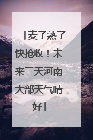 麦子熟了快抢收！未来三天河南大部天气晴好