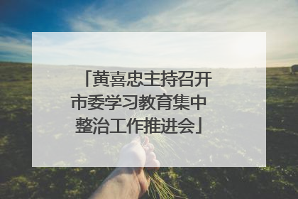 黄喜忠主持召开市委学习教育集中整治工作推进会