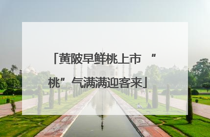 黄陂早鲜桃上市 “桃”气满满迎客来