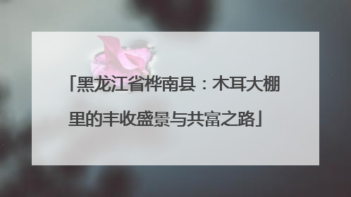 黑龙江省桦南县：木耳大棚里的丰收盛景与共富之路