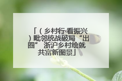 （乡村行·看振兴）毗邻统战破局“出圈” 浙沪乡村绘就共富新图景