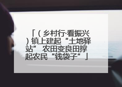 （乡村行·看振兴）镇上建起“土地驿站” 农田变良田撑起农民“钱袋子”