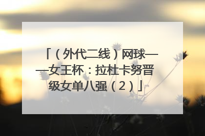 （外代二线）网球——女王杯：拉杜卡努晋级女单八强（2）