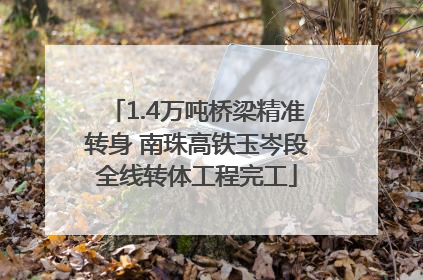 1.4万吨桥梁精准转身 南珠高铁玉岑段全线转体工程完工