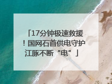 17分钟极速救援！国网石首供电守护江豚不断“电”