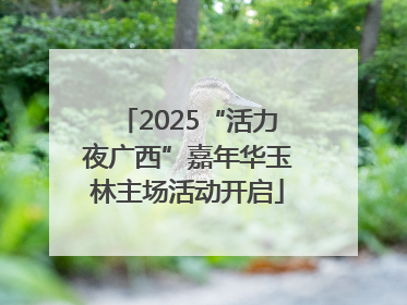 2025“活力夜广西”嘉年华玉林主场活动开启