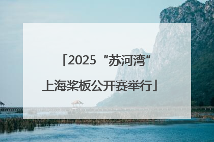 2025“苏河湾”上海桨板公开赛举行