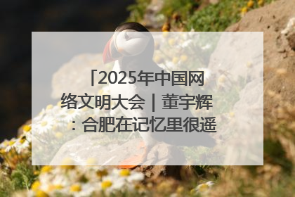 2025年中国网络文明大会｜董宇辉：合肥在记忆里很遥远也很亲切