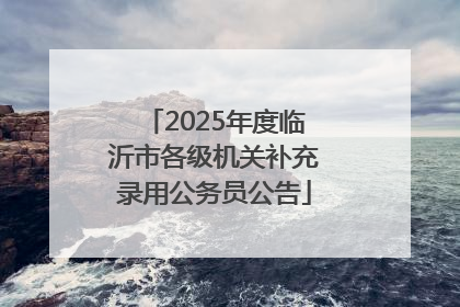 2025年度临沂市各级机关补充录用公务员公告