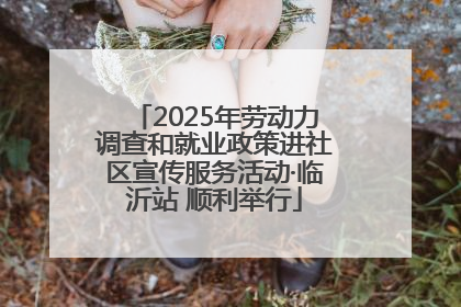 2025年劳动力调查和就业政策进社区宣传服务活动·临沂站 顺利举行