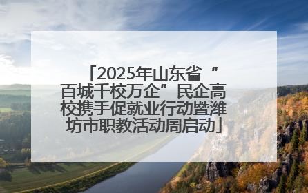 2025年山东省“百城千校万企”民企高校携手促就业行动暨潍坊市职教活动周启动