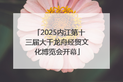 2025内江第十三届大千龙舟经贸文化博览会开幕