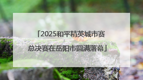 2025和平精英城市赛总决赛在岳阳市圆满落幕