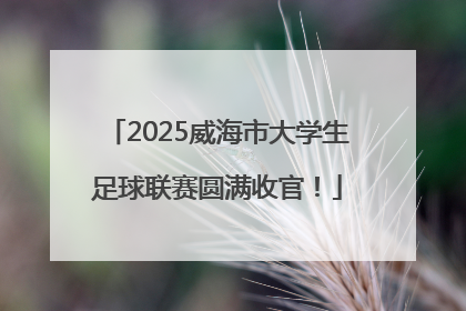 2025威海市大学生足球联赛圆满收官！