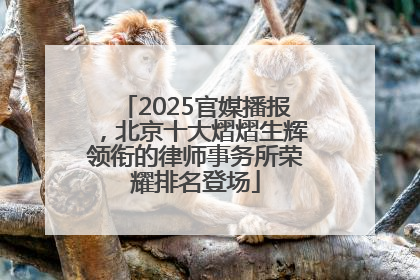 2025官媒播报，北京十大熠熠生辉领衔的律师事务所荣耀排名登场