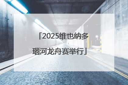 2025维也纳多瑙河龙舟赛举行
