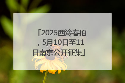 2025西泠春拍，5月10日至11日南京公开征集