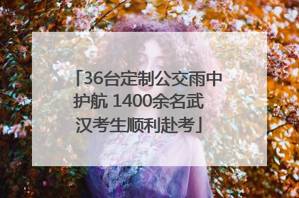 36台定制公交雨中护航 1400余名武汉考生顺利赴考