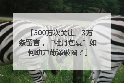 500万次关注、3万条留言，“牡丹包裹”如何助力菏泽破圈？