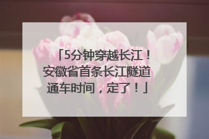5分钟穿越长江！安徽省首条长江隧道通车时间，定了！