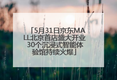 5月31日京东MALL北京首店盛大开业 30个沉浸式智能体验馆持续火爆