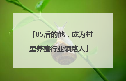 85后的他，成为村里养殖行业领路人